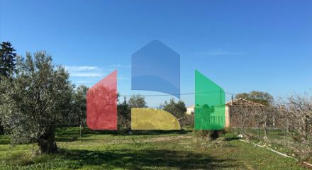 Продажа - Земельный участок 6458 m² в Аттике
