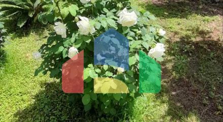 Продаж - Котедж 130 m² в Аттиці