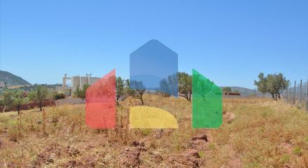 Продаж - Земельна ділянка 13500 m² в Аттиці