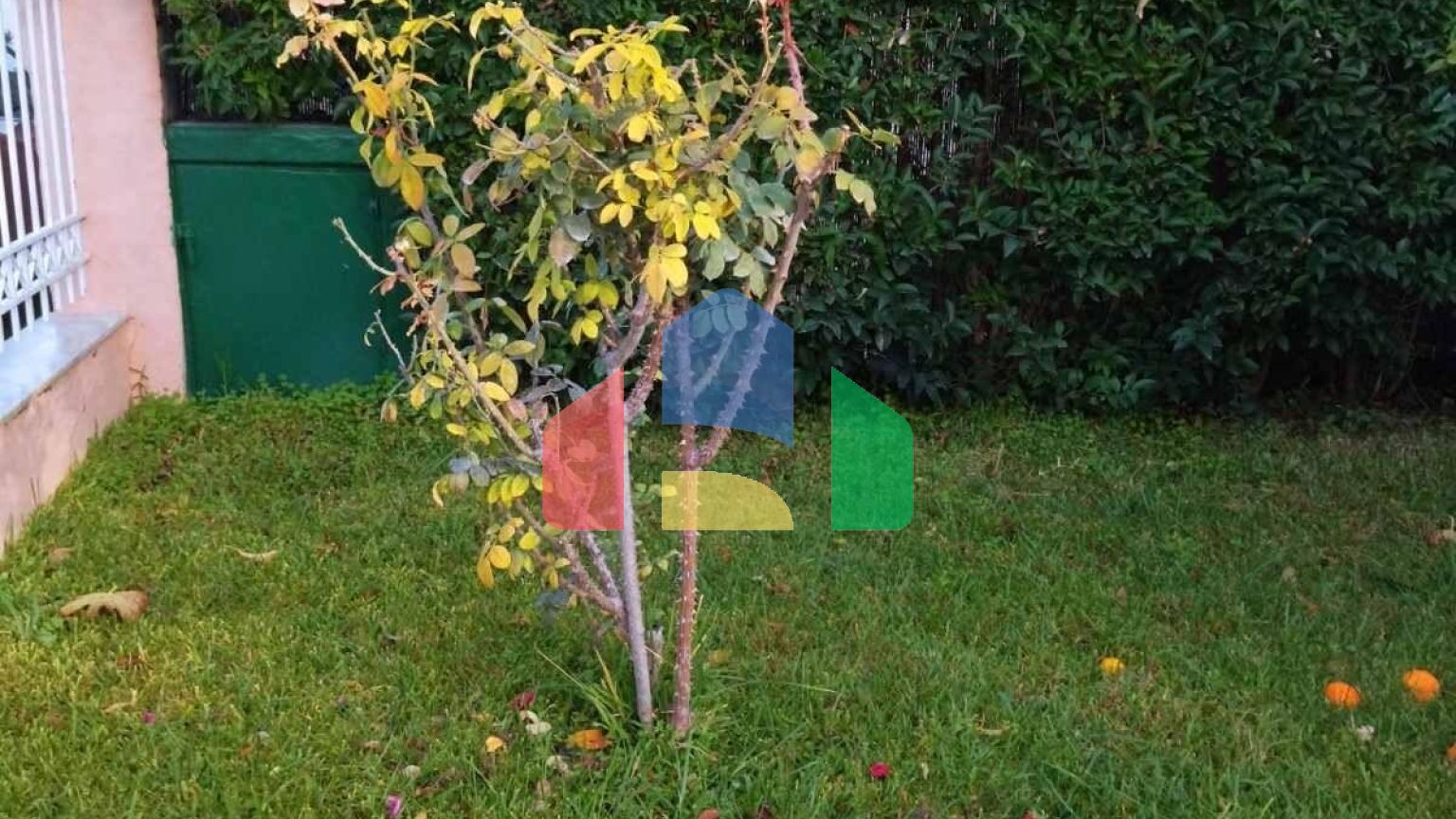 Продаж - Котедж 85 m² в Аттиці