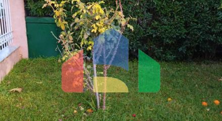 Продаж - Котедж 85 m² в Аттиці