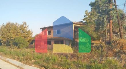 Продаж - Комерційна нерухомість 826 m² на Олімпійській Рив'єрі