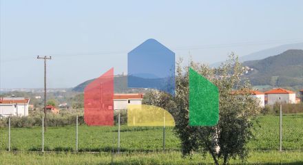 Продажа - Вилла 300 m² на Олимпийской Ривьере Продажа - Вилла 300 m² на Олимпийской Ривьере