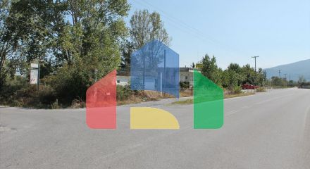Продажа - Бизнес 470 m² на Олимпийской Ривьере
