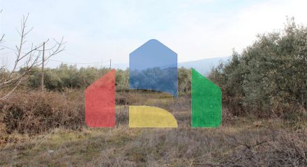 Продажа - Земельный участок 6500 m² на Олимпийской Ривьере