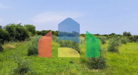 Продаж - Земельна ділянка 5432 m² на Олімпійській Рив'єрі