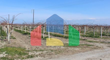 Продажа - Земельный участок 6600 m² на Олимпийской Ривьере