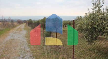 Продажа - Земельный участок 4000 m² на Олимпийской Ривьере