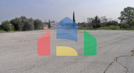 Продажа - Бизнес 1800 m² на Олимпийской Ривьере