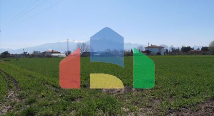 Продажа - Земельный участок 4000 m² на Олимпийской Ривьере
