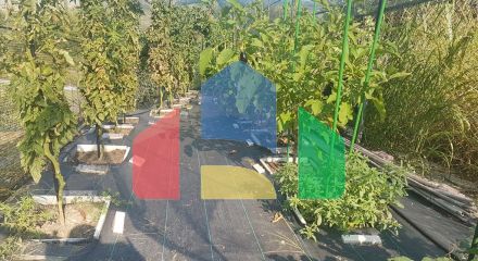 Продажа - Вилла 335 m² на Олимпийской Ривьере