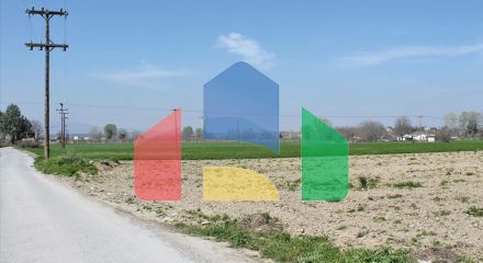 Продажа - Земельный участок 4500 m² на Олимпийской Ривьере
