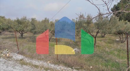 Продажа - Земельный участок на Олимпийской Ривьере