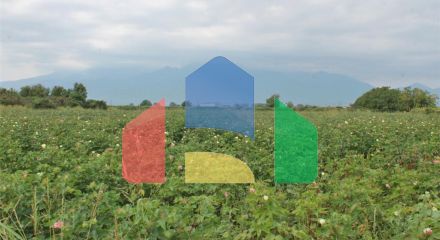 Продажа - Земельный участок 15000 m² на Олимпийской Ривьере