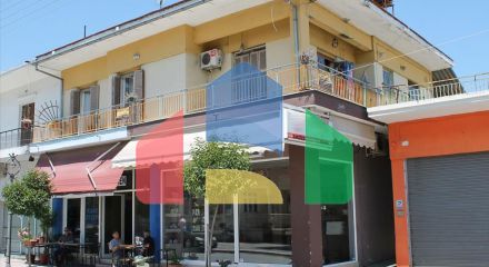 For Sale - Business 250 m² on the Olympic Coast