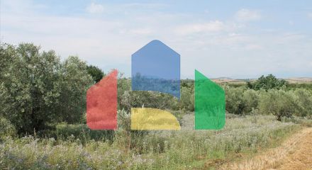 Продажа - Земельный участок 5000 m² на Олимпийской Ривьере