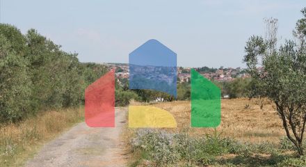 Продаж - Земельна ділянка 5000 m² на Олімпійській Рив'єрі