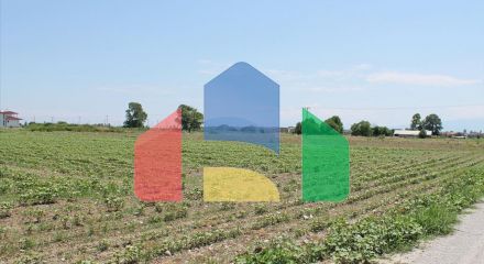 Продажа - Земельный участок 10000 m² на Олимпийской Ривьере