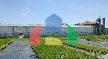 Продажа - Бизнес 4800 m² на Олимпийской Ривьере