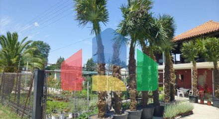 Продажа - Бизнес 4800 m² на Олимпийской Ривьере Продажа - Бизнес 4800 m² на Олимпийской Ривьере