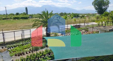 Продажа - Бизнес 4800 m² на Олимпийской Ривьере Продажа - Бизнес 4800 m² на Олимпийской Ривьере