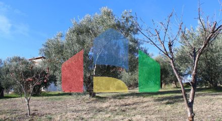 Продаж - Таунхаус 100 m² на Олімпійській Рив'єрі