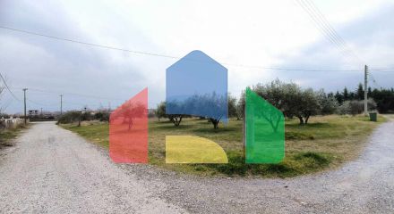 Продажа - Земельный участок 2400 m² на Олимпийской Ривьере