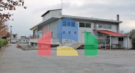 Продажа - Бизнес 900 m² на Олимпийской Ривьере