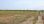 Продажа - Земельный участок 6500 m² на Олимпийской Ривьере