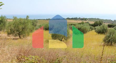Продажа - Земельный участок 3830 m² на Олимпийской Ривьере