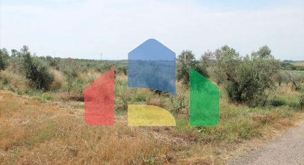 Продажа - Земельный участок 4000 m² на Олимпийской Ривьере