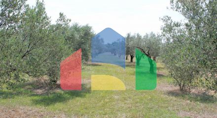 Продажа - Земельный участок 4000 m² на Олимпийской Ривьере