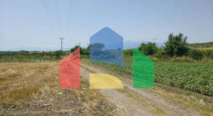 Продаж - Земельна ділянка 6200 m² на Олімпійській Рив'єрі