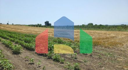 Продаж - Земельна ділянка 6200 m² на Олімпійській Рив'єрі