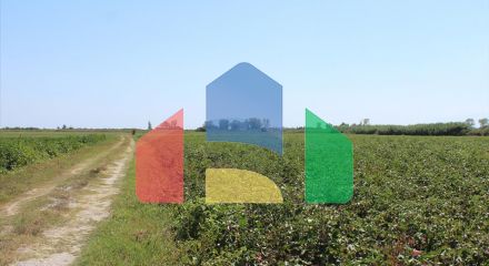 Продаж - Земельна ділянка 10500 m² на Олімпійській Рив'єрі