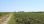 Продаж - Земельна ділянка 10500 m² на Олімпійській Рив'єрі