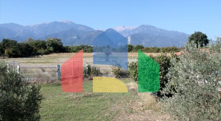 Продажа - Вилла 400 m² на Олимпийской Ривьере Продажа - Вилла 400 m² на Олимпийской Ривьере