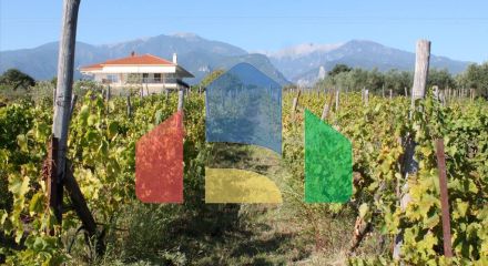 Продажа - Вилла 400 m² на Олимпийской Ривьере Продажа - Вилла 400 m² на Олимпийской Ривьере