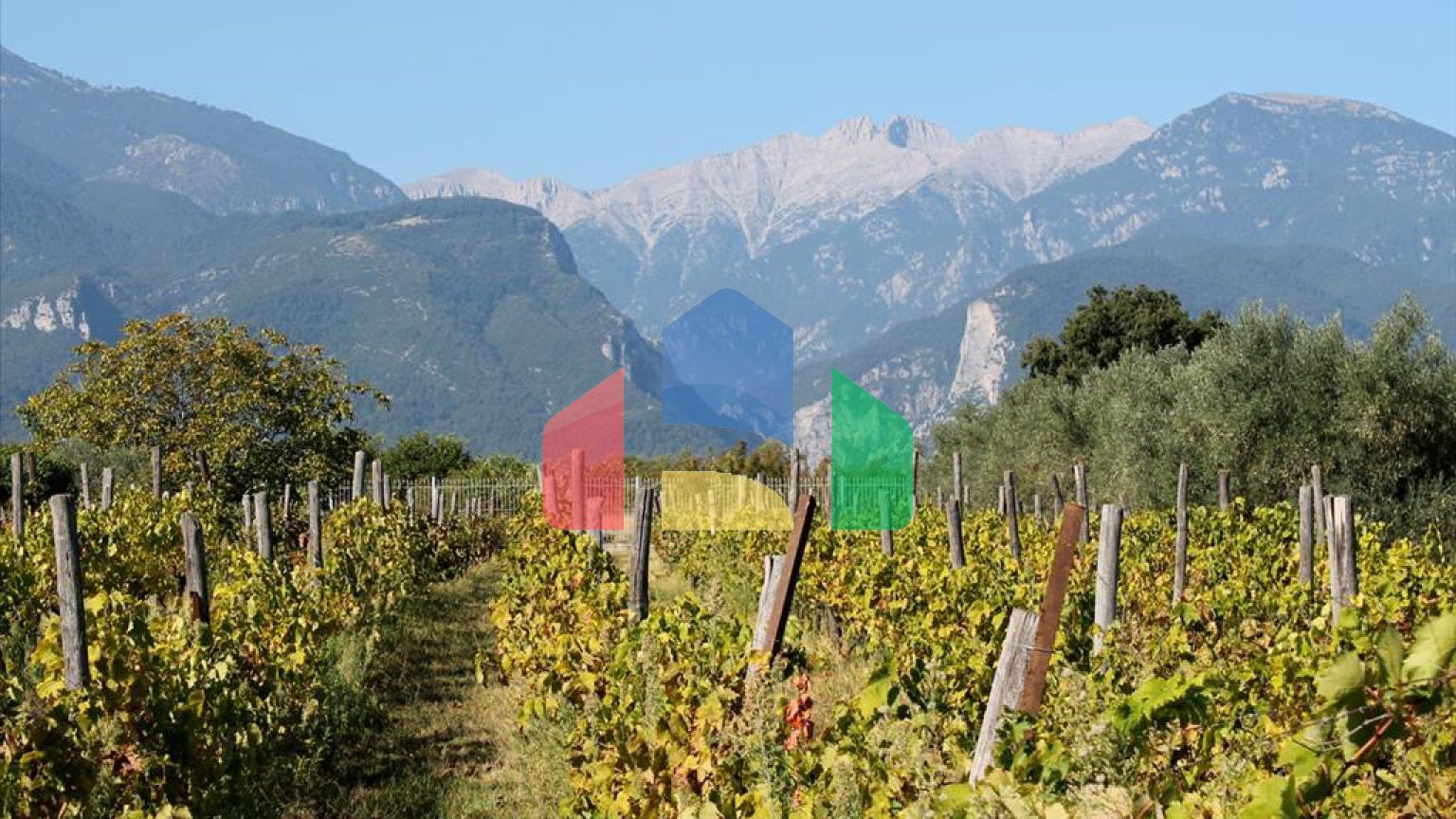 Продажа - Вилла 400 m² на Олимпийской Ривьере