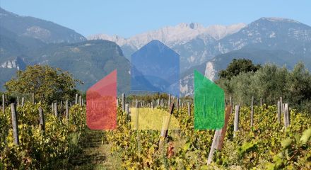 Продажа - Вилла 400 m² на Олимпийской Ривьере Продажа - Вилла 400 m² на Олимпийской Ривьере