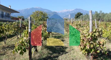 Продажа - Вилла 400 m² на Олимпийской Ривьере Продажа - Вилла 400 m² на Олимпийской Ривьере