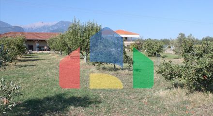 Продажа - Вилла 400 m² на Олимпийской Ривьере Продажа - Вилла 400 m² на Олимпийской Ривьере