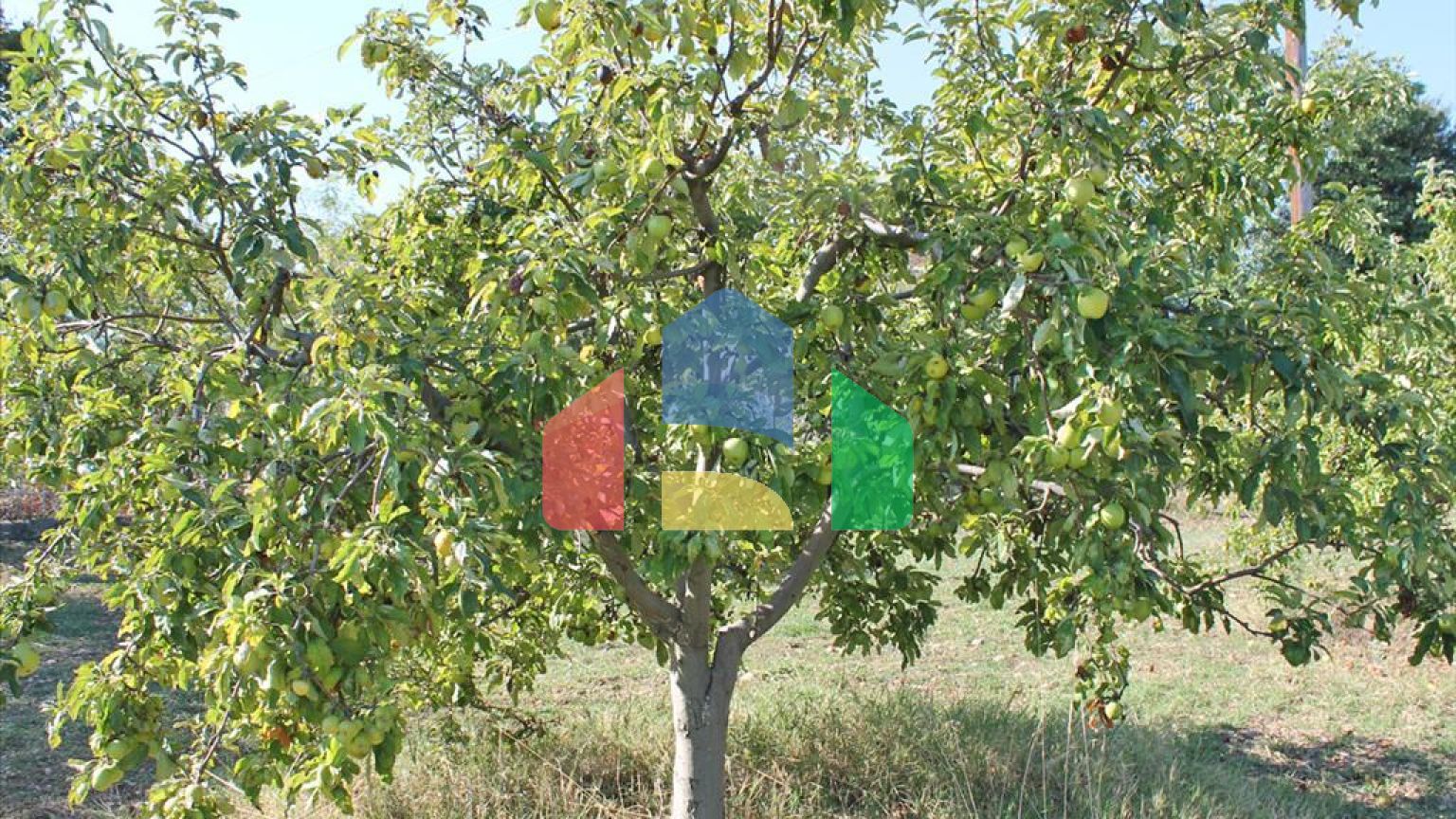 Продажа - Вилла 400 m² на Олимпийской Ривьере