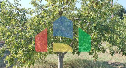 Продажа - Вилла 400 m² на Олимпийской Ривьере Продажа - Вилла 400 m² на Олимпийской Ривьере