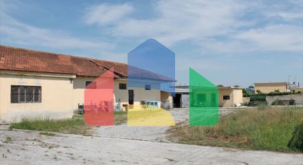 Продаж - Бізнес 250 m² на Олімпійській Рив'єрі