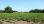 Продаж - Земельна ділянка 6100 m² на Олімпійській Рив'єрі
