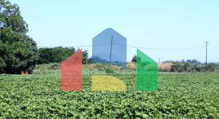 Продаж - Земельна ділянка 6100 m² на Олімпійській Рив'єрі