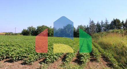 Продаж - Земельна ділянка 6100 m² на Олімпійській Рив'єрі