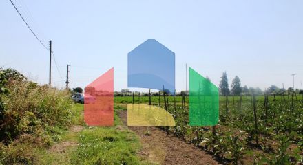 Продаж - Земельна ділянка 6100 m² на Олімпійській Рив'єрі