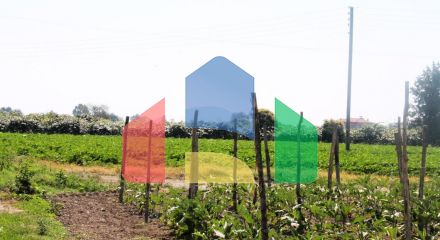 Продаж - Земельна ділянка 6100 m² на Олімпійській Рив'єрі